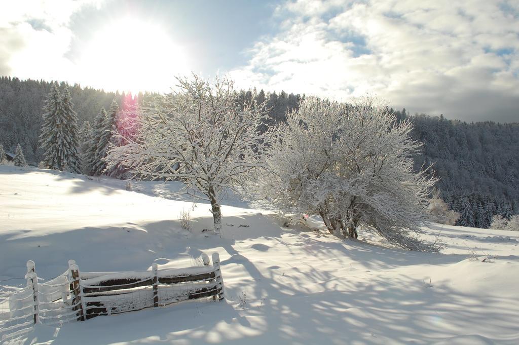 La Haut & Spa Ventron Værelse billede